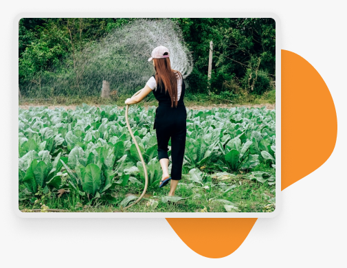Watering crops